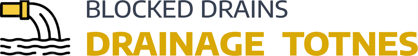 website logo